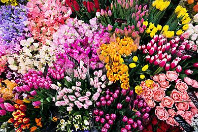 沙盒建造《Overthrown》EA版今秋发售 登陆主机和PC